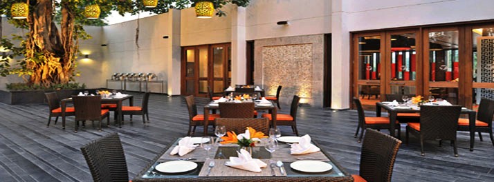 42/Fortune Park Boulevard - New Delhi 07.jpg